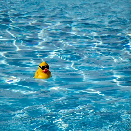 Logis Et Restaurant La Bombardiere